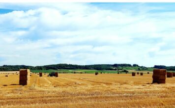 Pravilnik o ohranjanju in spodbujanju razvoja kmetijstva in podeželja v Občini Moravske Toplice