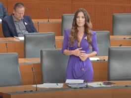 Janez Janša odgovoril Evi Irgl: “Za tvoje poslansko mesto je glasove prispevalo tudi 8 kolegic in kolegov, ki so kandidirali v 2. volilni enoti. Ob izstopu iz stranke se pač mandat prepusti naslednjemu po rezultatu.”