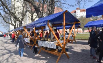 Domača tržnica septembra pod kostanji